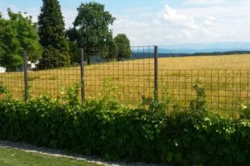 Gartengestaltung mit Corten-Stahl