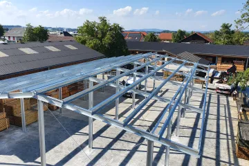 Halle Hehenfelder