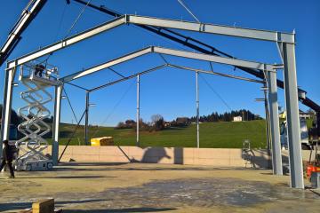Halle Baldinger 3D