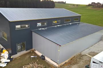 Halle Baldinger 3D